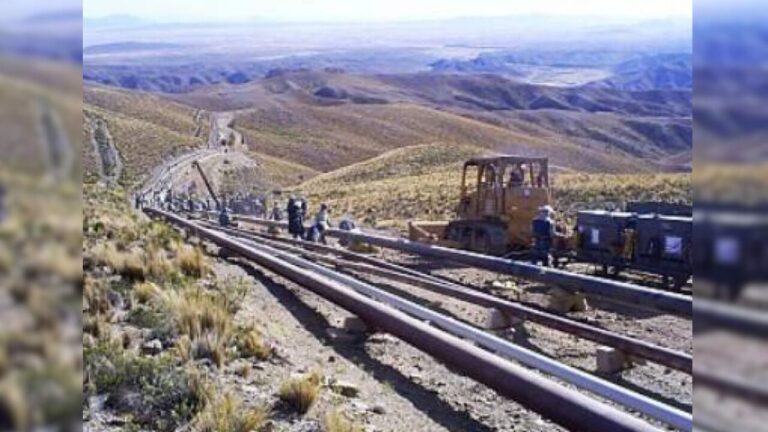 Con perfil importador