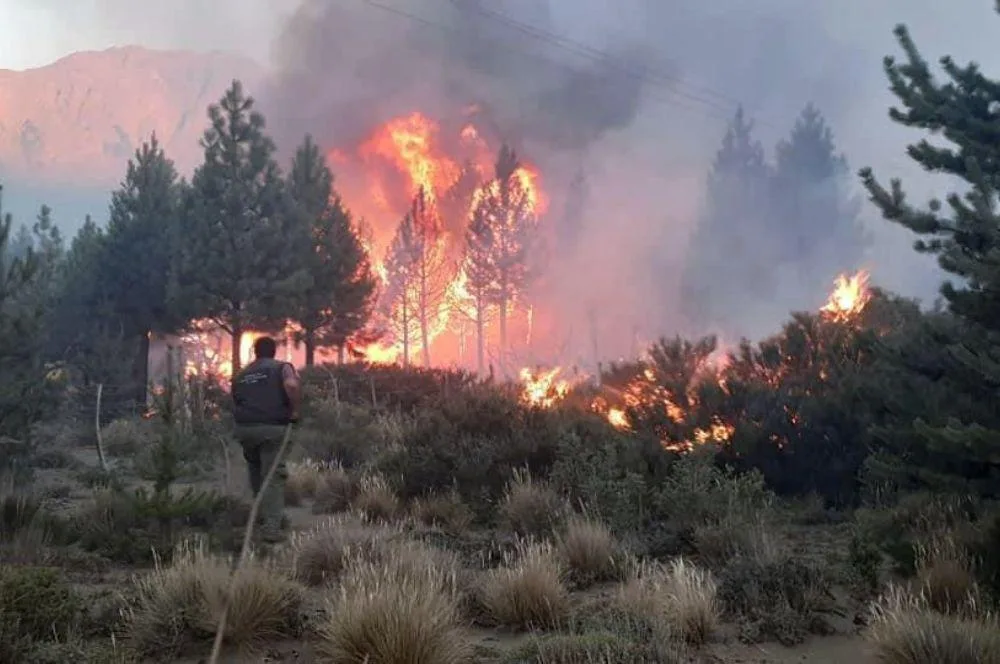 Incendios en Chubut y Río Negro