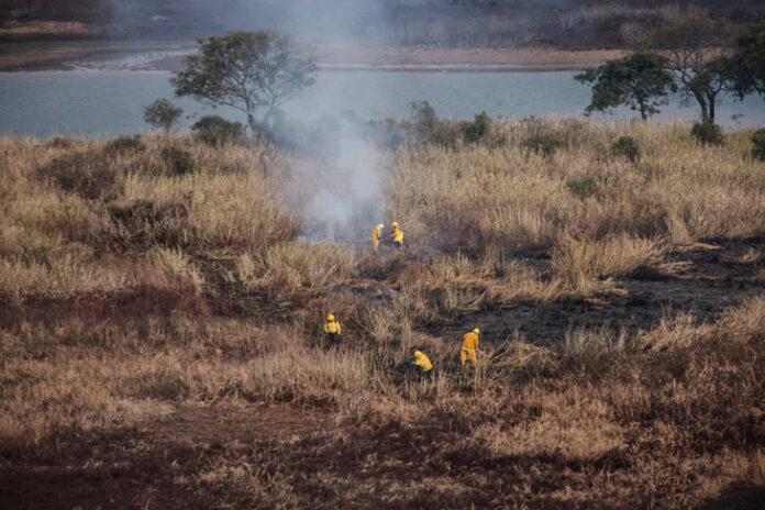 Incendio de humedales