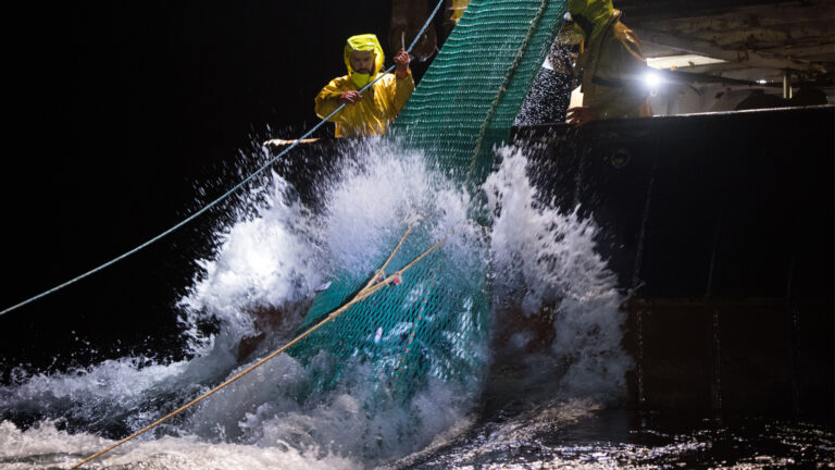 Las riquezas del Mar Argentino