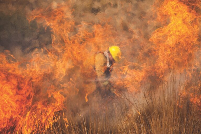 La catastrófica realidad de los incendios forestales en Córdoba