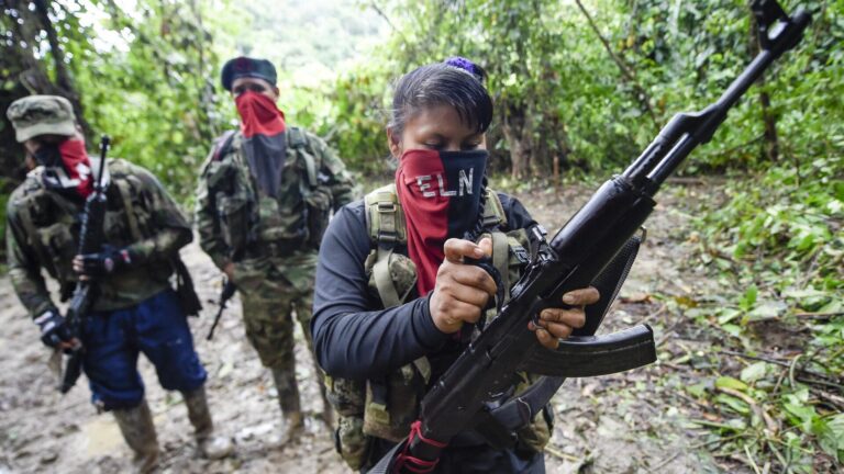 Los conflictos armados internos en América Latina: el combate a las guerrillas y el narcotráfico en la región