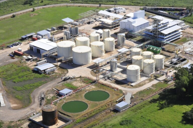 Biodiesel: fuerte caída de las exportaciones argentinas