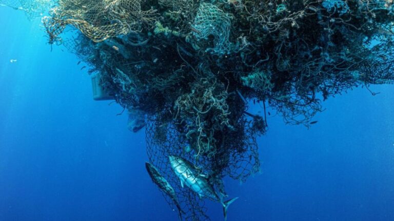 Navegando entre plásticos, las islas de basura en los océanos