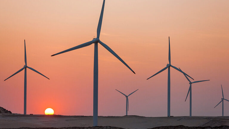 Soplan buenos vientos: en 2023 se batió el récord de potencia eólica instalada en el planeta