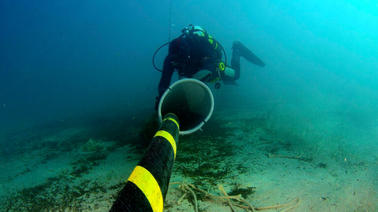 Firmina: el cable submarino de Google que  viajará de Argentina a Estados Unidos