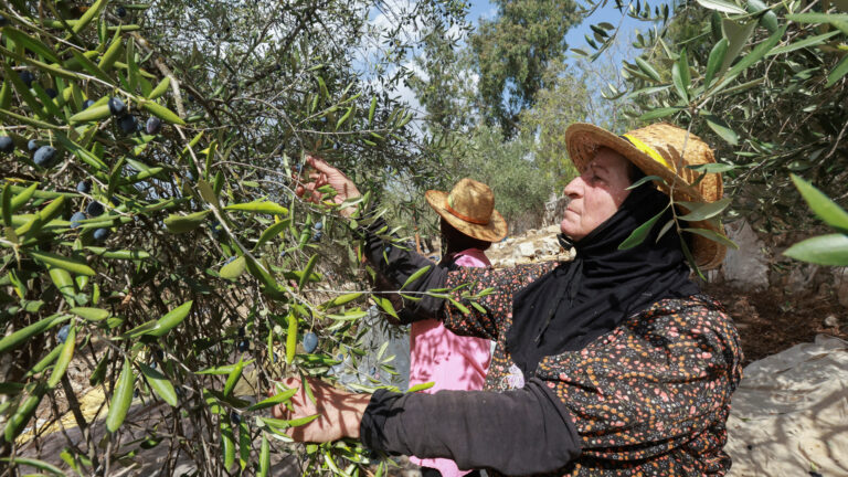 ¿Cuáles son los principales desafíos que enfrenta la agricultura israelí?