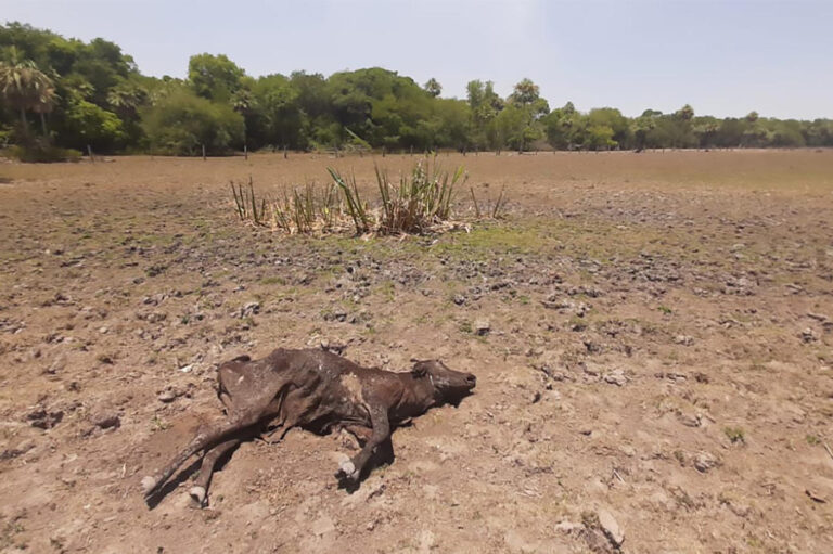 Qué es el fenómeno de La Niña y cómo impacta en cada región