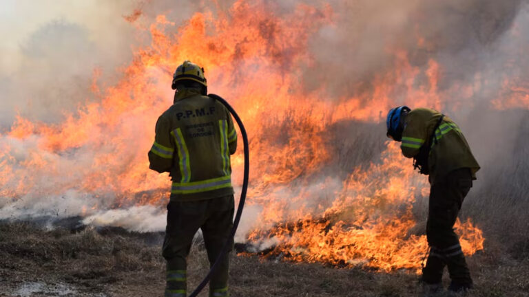 Entre llamas y negocios: la tragedia de los incendios forestales en Córdoba