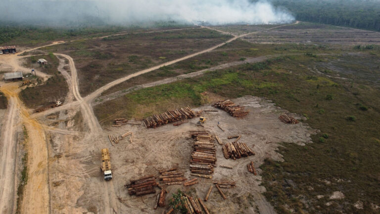 El reglamento europeo sobre deforestación pone en alerta al sector agropecuario del Cono Sur