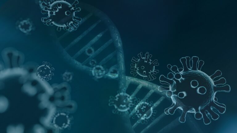 MicroARN: ¿en qué consiste el descubrimiento de los nuevos Premio Nobel de Medicina?