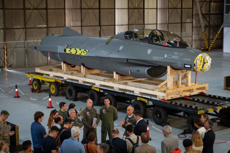 F-16 para la Fuerza Aérea: qué hay que saber sobre el avión recién llegado a Argentina