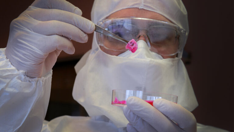 Así es la carne de laboratorio que está cada vez más cerca de llegar a los supermercados