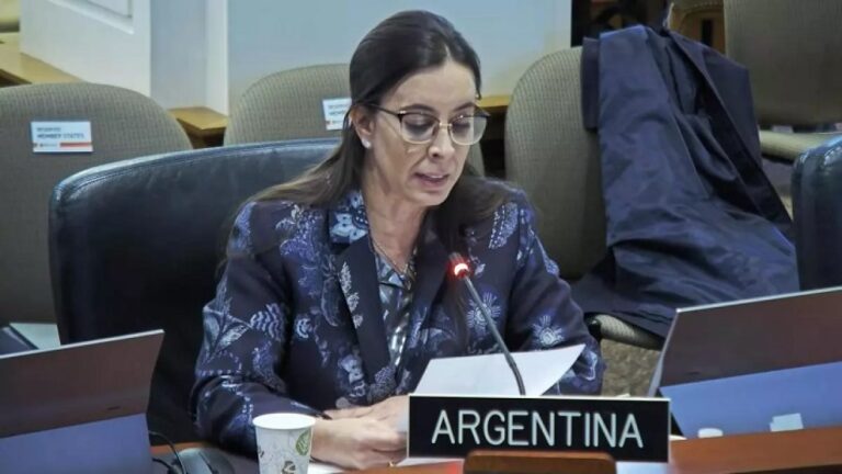 Javier Milei despidió a Sonia Cavallo, ¿qué postura tomará Argentina en la OEA?
