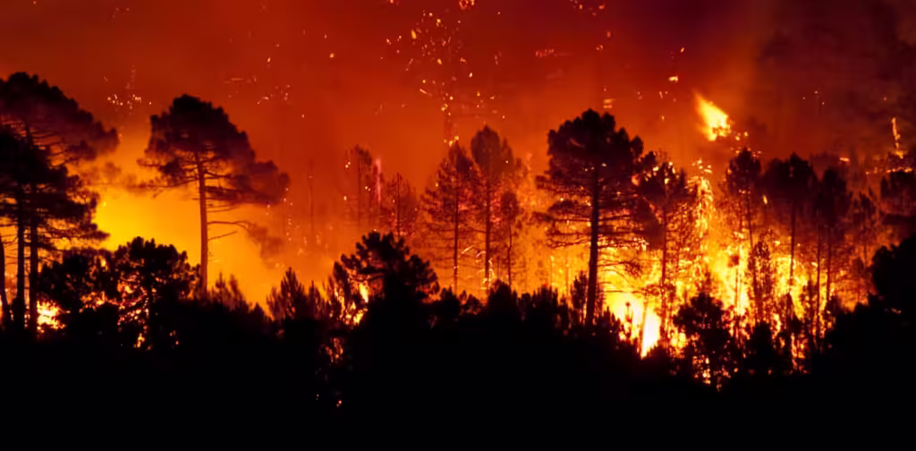 Incendios-Forestales