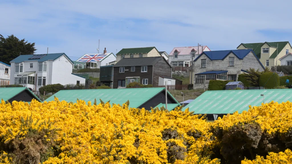 Malvinas