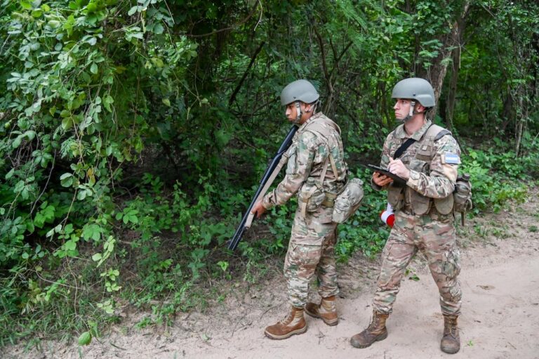Militares en la frontera: en detalle, así será la operación “Julio A. Roca”