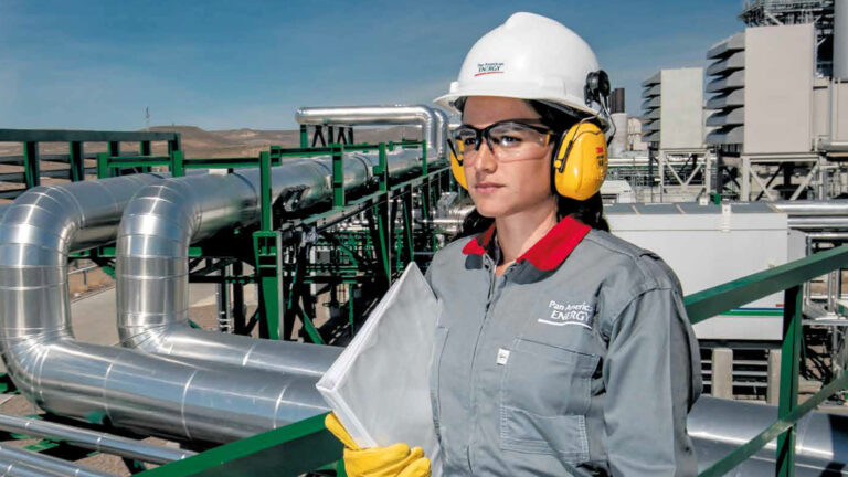 Golfo de San Jorge: PAE anunció un descubrimiento de shale gas que entusiasma a Chubut