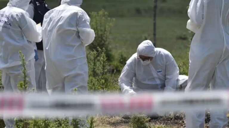 Qué país de Sudamérica registró la tasa de homicidios más baja de su historia