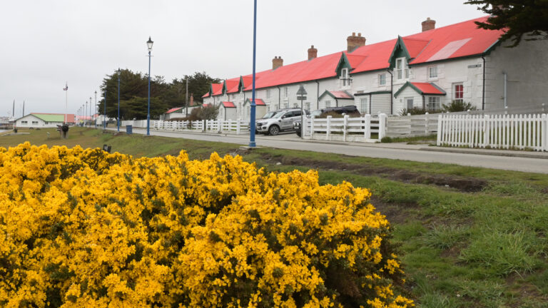 Islas Malvinas: la trama detrás del documento de 1813 que respalda la soberanía argentina