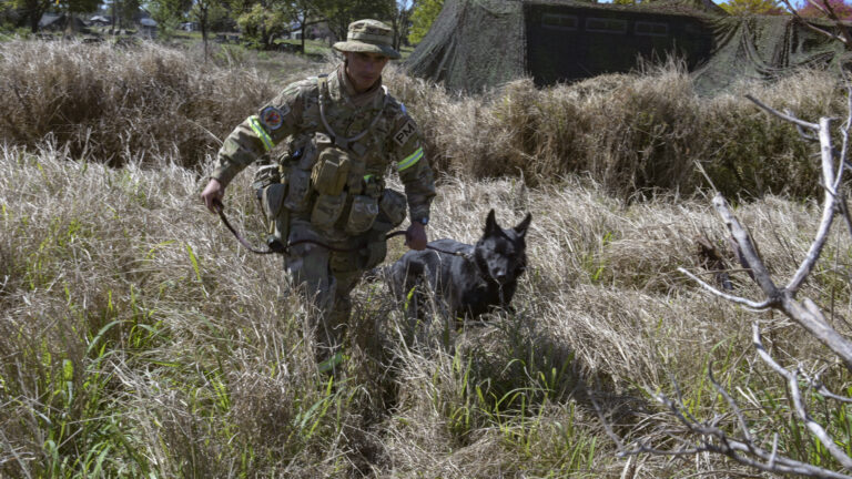 Ejército Argentino: Tobi, el perro de guerra que rescató a un paracaidista en el ejercicio “Libertador”