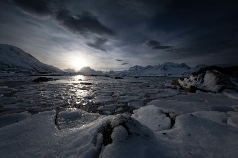 Antártida: China y Rusia bloquean la creación de reservas marinas y crece la tensión por la pesca del kril