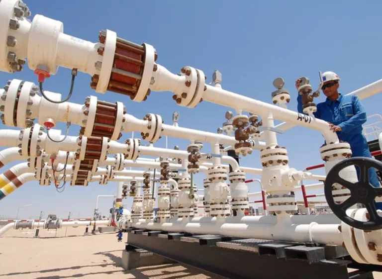 Argentina: el sector energético permitió mantener el superávit comercial en el primer semestre