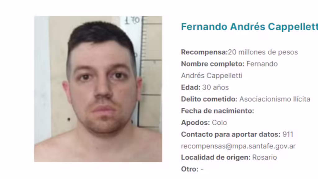 fernando-cappelletti