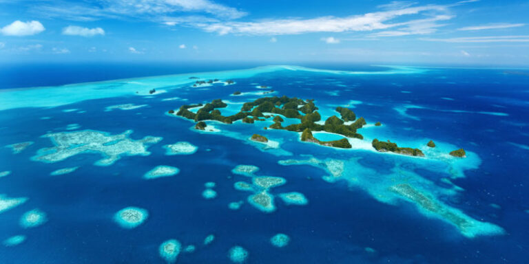 Dióxido de carbono en el océano: por qué en exceso podría cambiarlo todo