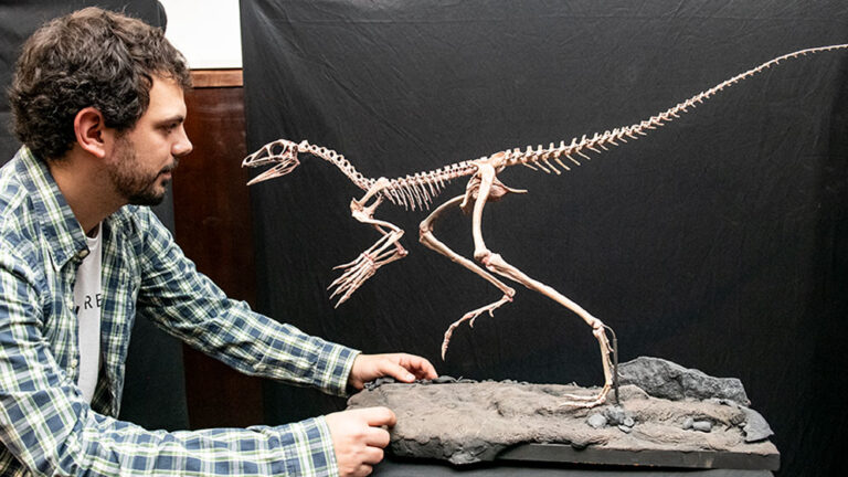 CONICET: el nuevo stream que permitirá seguir el minuto a minuto de la paleontología argentina