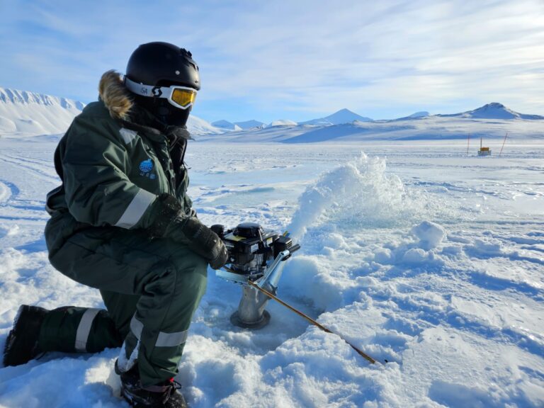 Vida en el Ártico: el sorprendente hallazgo de la Universidad de Stanford