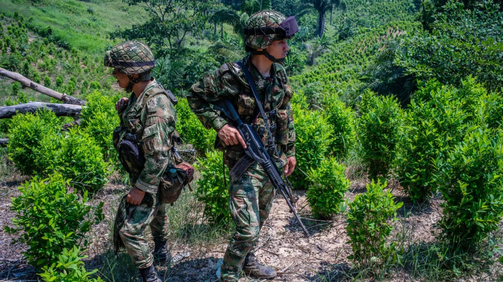 colombia-narcotrafico-crimen-organizado