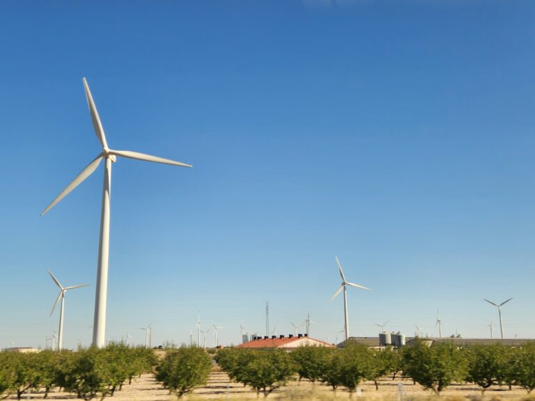 Rumbo a la COP 30: cuál es el avance en la transición energética de cara a la Cumbre del Clima