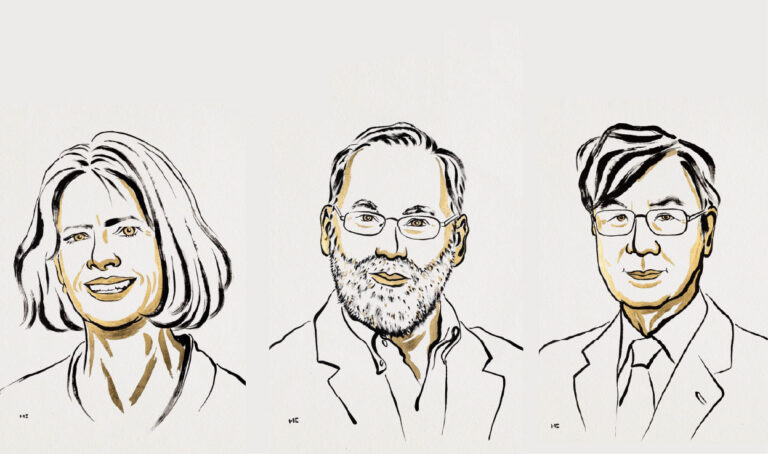 Premios Nobel 2025: cuáles son los hallazgos científicos más importantes del año