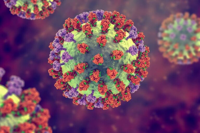 Alerta por la gripe H3N2: cuáles son sus síntomas y qué tan cerca está de llegar a Argentina
