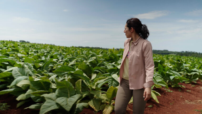 “Humo”, el documental que desnuda la trama criminal detrás del contrabando de cigarrillos