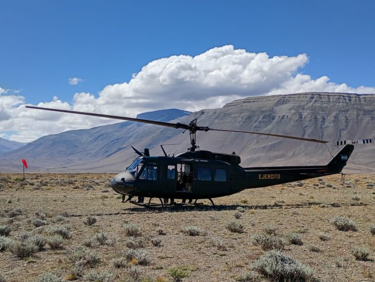 Militares en la Patagonia, ¿qué están haciendo las Fuerzas Armadas para combatir los incendios?