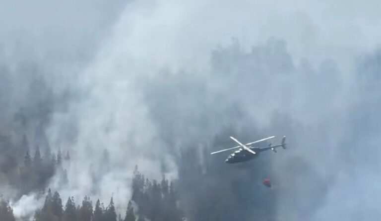 Incendios forestales: ¿cómo responden las Fuerzas Armadas en la Patagonia?