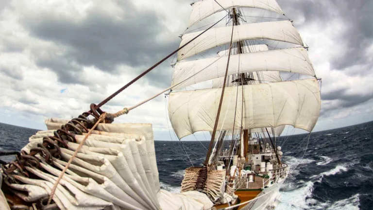 Armada Argentina: la fragata ARA Libertad fue distinguida en Francia tras recorrer la mayor distancia a vela