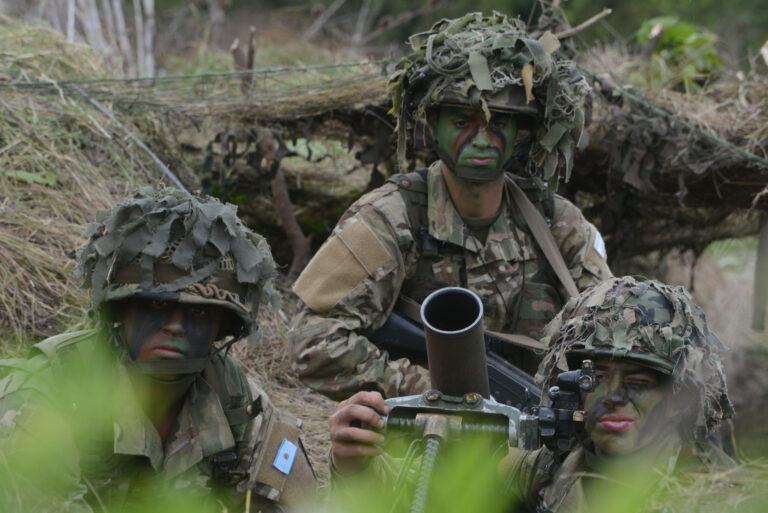 Fuerzas Armadas: qué es un mortero y para qué lo usa el Ejército Argentino