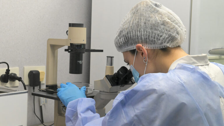 Cáncer de páncreas: la investigación española que podría cambiar el rumbo para la cura de la enfermedad 