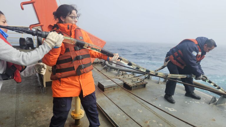 Sonidos del sur: cómo la Argentina estudia las ballenas en la Antártida
