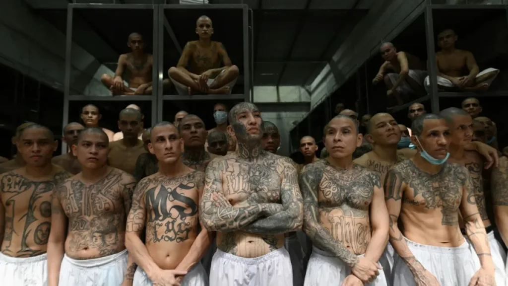 mara-salvatrucha-juicio