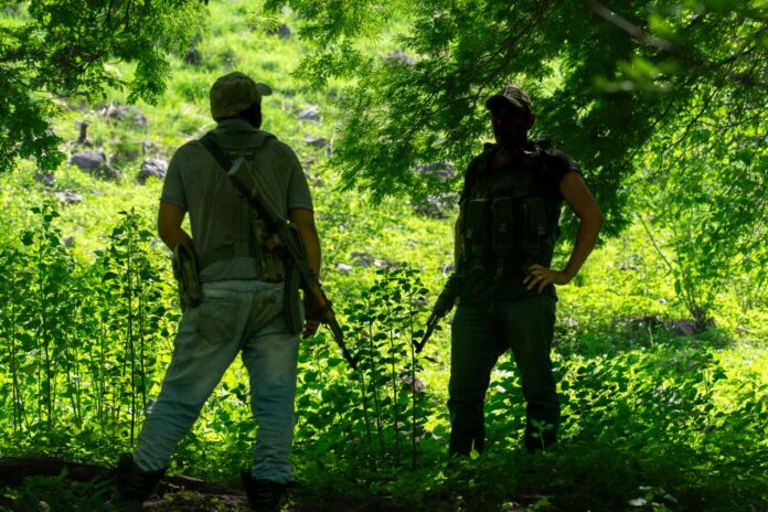 narcotráfico-méxico-áfrica